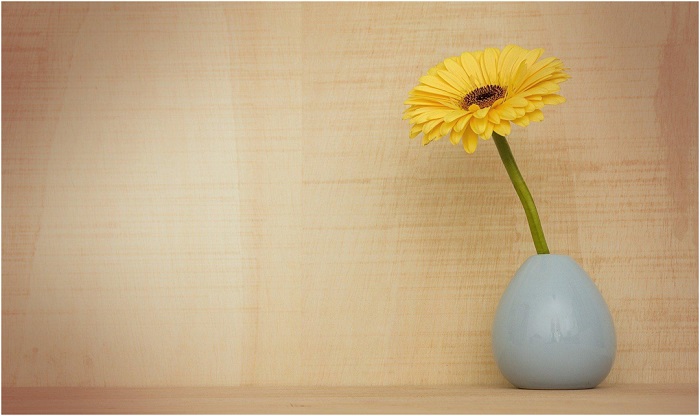 Arrange Gerbera Flowers