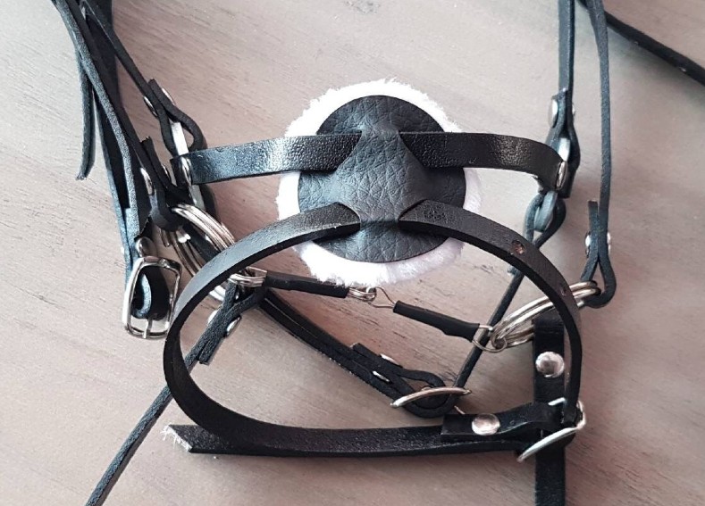 A Deally Horse Breastplate: Whats Exactly In The Kit?