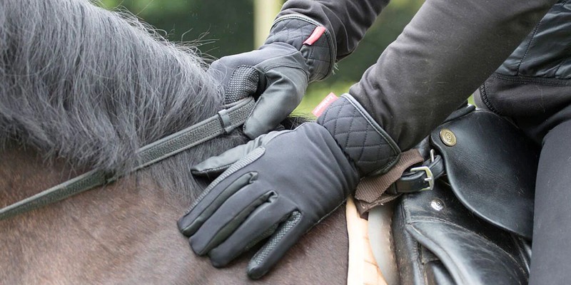 Everything You Need To Know About Horse Riding Gloves