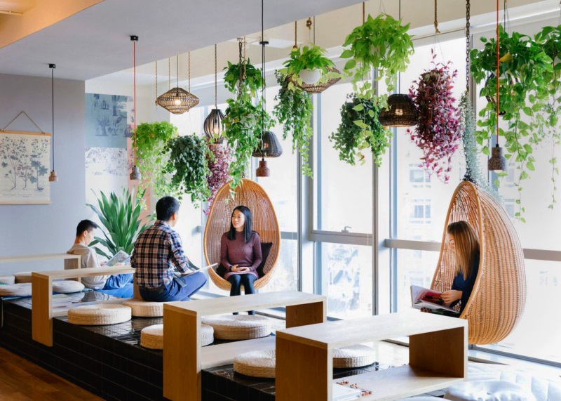 Why Buy Indoor Plants for Your Office?